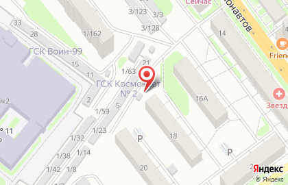 Полярный медведь на улице Космонавтов на карте
