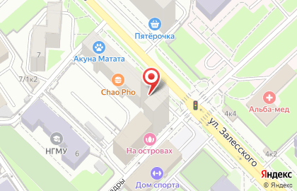 Магазин медицинской одежды Elit в Заельцовском районе на карте