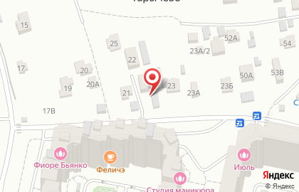 Детский центр Лидер в Видном на карте
