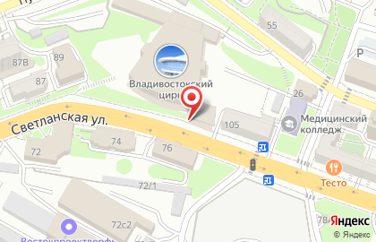 Владивостокский Государственный Цирк на карте