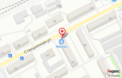 Центр дезинфекции и дератизации Феникс-Курган на Станционной улице на карте
