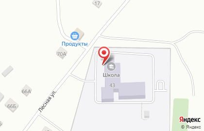 Продуктовый магазин Мечта на Лесной на карте