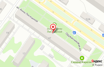 Социальная аптека в Петрозаводске на карте