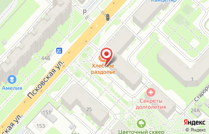 Магазин детской одежды и обуви Василёк в Великом Новгороде на карте