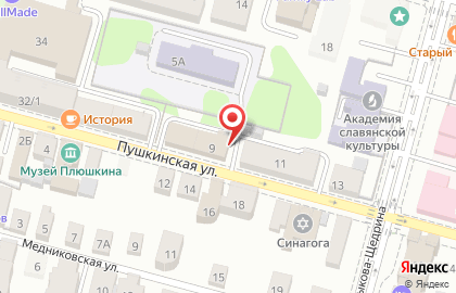 Туристическое агентство Саванна тур на Пушкинской улице на карте