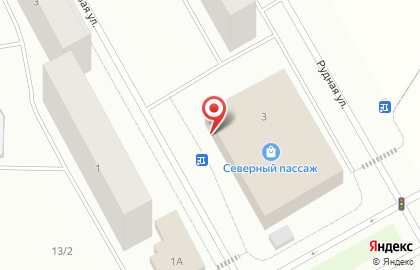 Зоомагазин Хамелеон на Рудной улице на карте