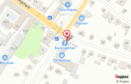 База цветов в Курске на карте