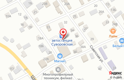 Ветеринарная аптека Краснодарзооветснаб в Ставрополе на карте