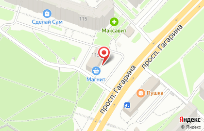 Магазин одежды и игрушек на проспекте Гагарина на карте