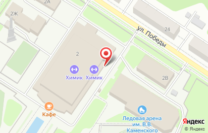 Ледовый дворец Подмосковье на карте