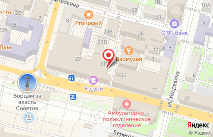 Ирина на Светланской улице на карте