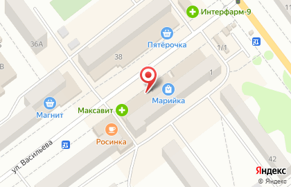 Магазин спортивной одежды СпортАктив на улице Васильева на карте