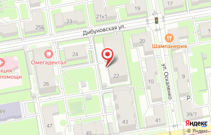Строительная компания Красная Стрела на Дибуновской улице на карте