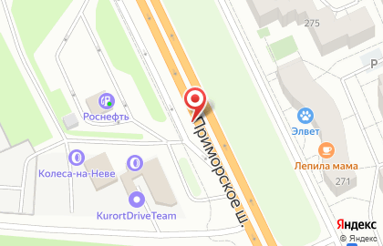 Сестрорецкое Телеателье на карте