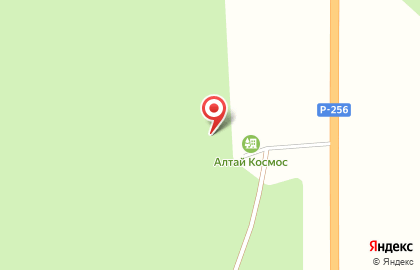 База отдыха Алтай Космос на карте