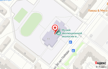 ВГИ на улице 40 лет Победы на карте