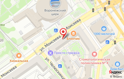 Магазин Сад-Огород в Воронеже на карте