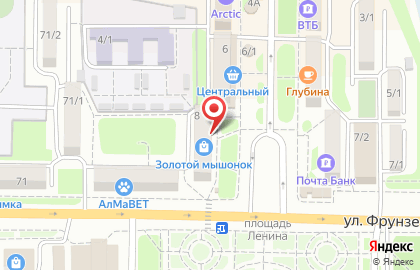 Багетная мастерская ДВ-Пасифик на площади Ленина на карте