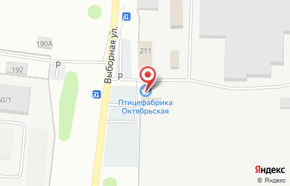 Сеть фирменных магазинов Птицефабрика Октябрьская на Выборной улице на карте