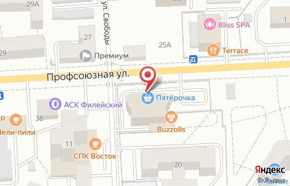 Зоомагазин Хвостатый друг на Профсоюзной улице на карте