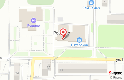 Фирменный мясной магазин Равис на улице Ленина на карте