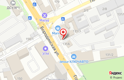 Магазин и автосервис VIRBACauto на Бородинской улице на карте