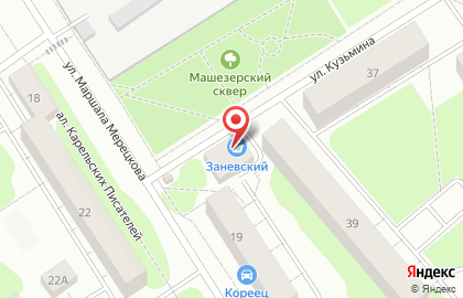 Заневский на карте