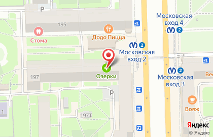 Аптека Озерки на Московском проспекте на карте