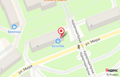 Зоомагазин КотоПес на улице Мира на карте
