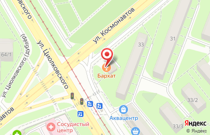 Магазин Раковая №1 на улице Космонавтов на карте