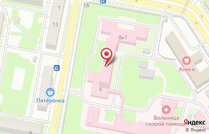 Больница скорой медицинской помощи на улице Пирогова на карте