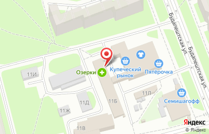 Салон оптики Зоркий сокол на Будапештской улице на карте