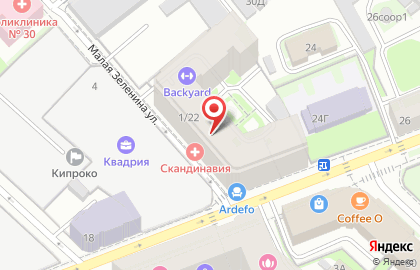 Медицинский центр Скандинавия Отделение Петроградское на Малой Зелениной улице на карте