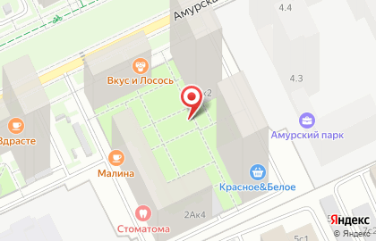 Диммакс на Амурской улице на карте