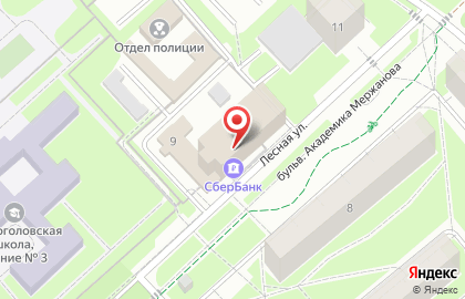 Компания Брискер-Моторс на Лесной улице в Черноголовке на карте