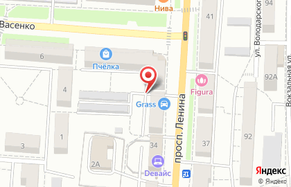 Русский букет на проспекте Ленина на карте