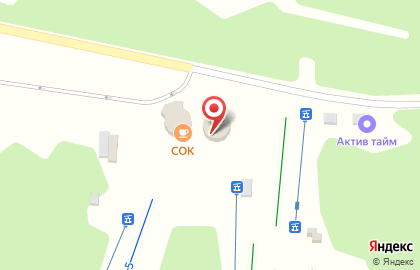 Горнолыжный комплекс СОК в Красноглинском районе на карте