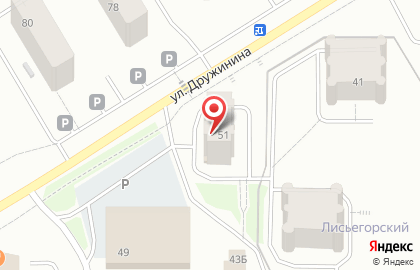 Магазин алкогольной продукции Лион на улице Дружинина на карте