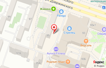 Лиса на улице Дзержинского на карте