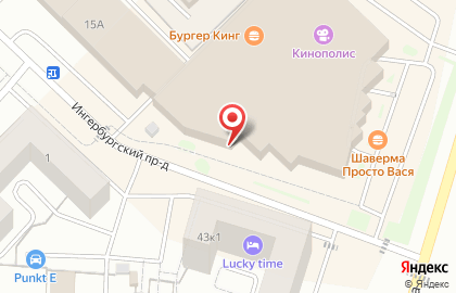Офис продаж Билайн на Пушкинском шоссе на карте