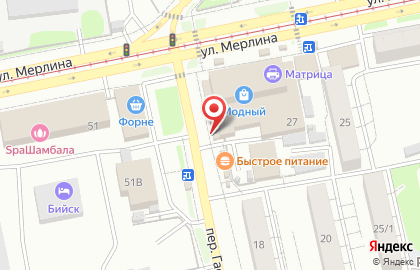Многопрофильный центр печати Хамелеон на улице Петра Мерлина на карте
