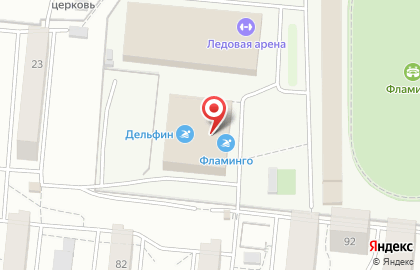 Школа плавания Дельфин в Кировском районе на карте