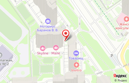 IT-компания в Москве на карте
