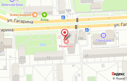 Ветеринарная клиника Друг на улице Гагарина на карте