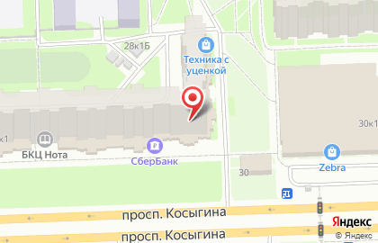 Ип Лазичный на проспекте Косыгина на карте
