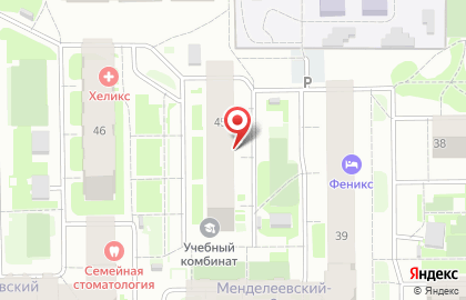 ИП Шевченко А.П. на карте