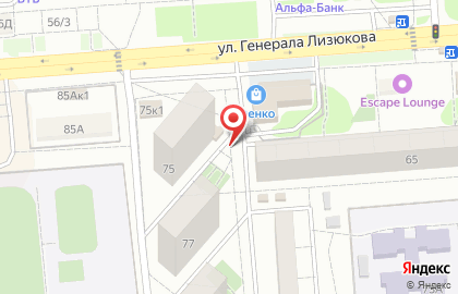 Автомат по продаже питьевой воды Источник здоровья на улице Генерала Лизюкова на карте