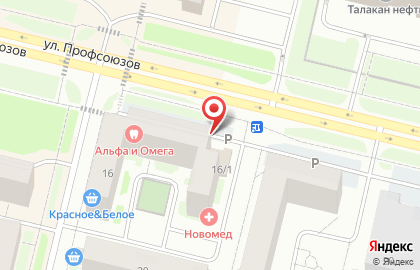Торгово-ремонтная фирма на улице Профсоюзов на карте