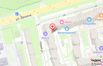 Модные сумки на улице Ленина на карте