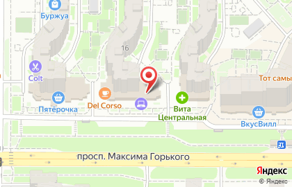 Дом.ru на проспекте Максима Горького на карте